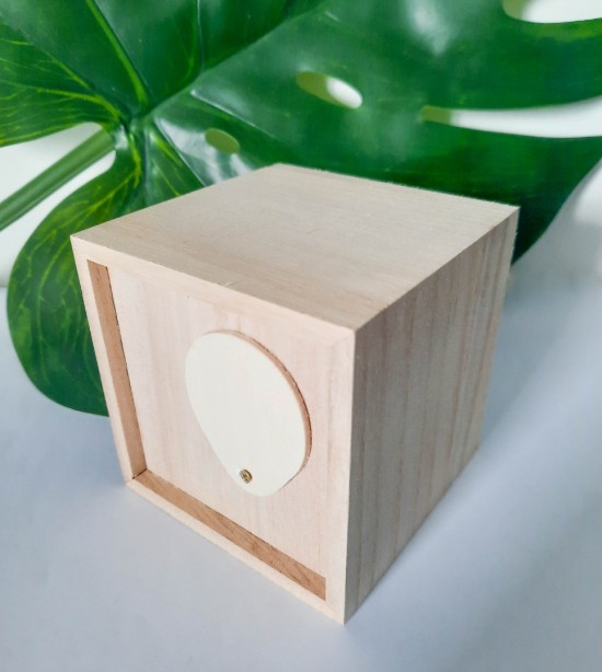 houten spaarpot geld cadeau Gifts by M