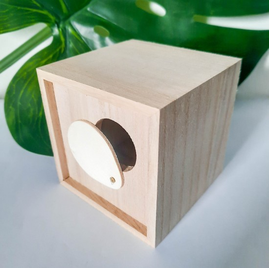 Houten spaarpot sparen eerste centjes Gifts by M