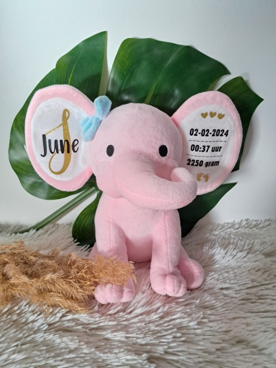 Gepersonaliseerde knuffel met naam baby