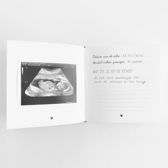 Echoboekje1