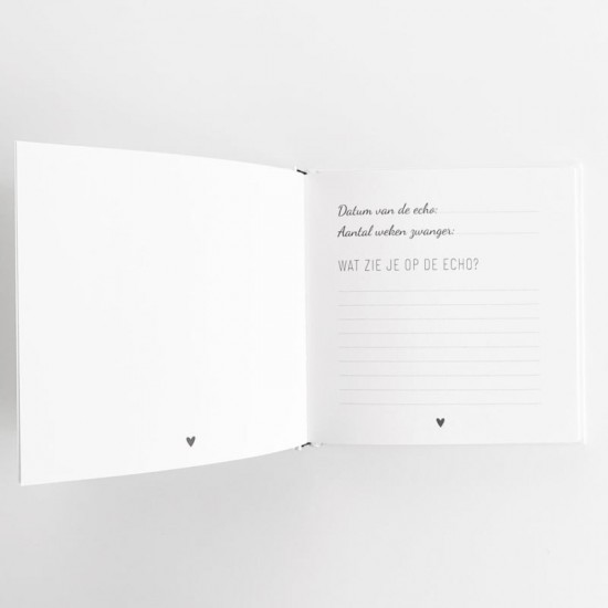 Echoboekje3