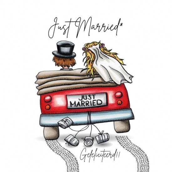 Just married spaarpot concept auto